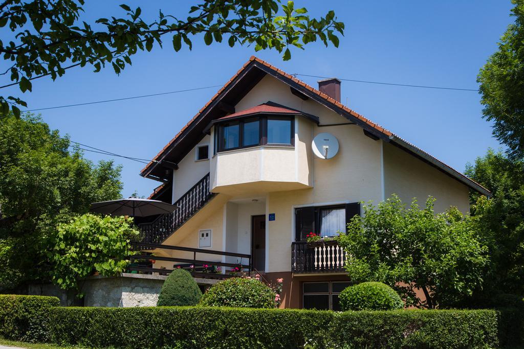 Apartmant & Room Bruna Drežnik Grad Εξωτερικό φωτογραφία