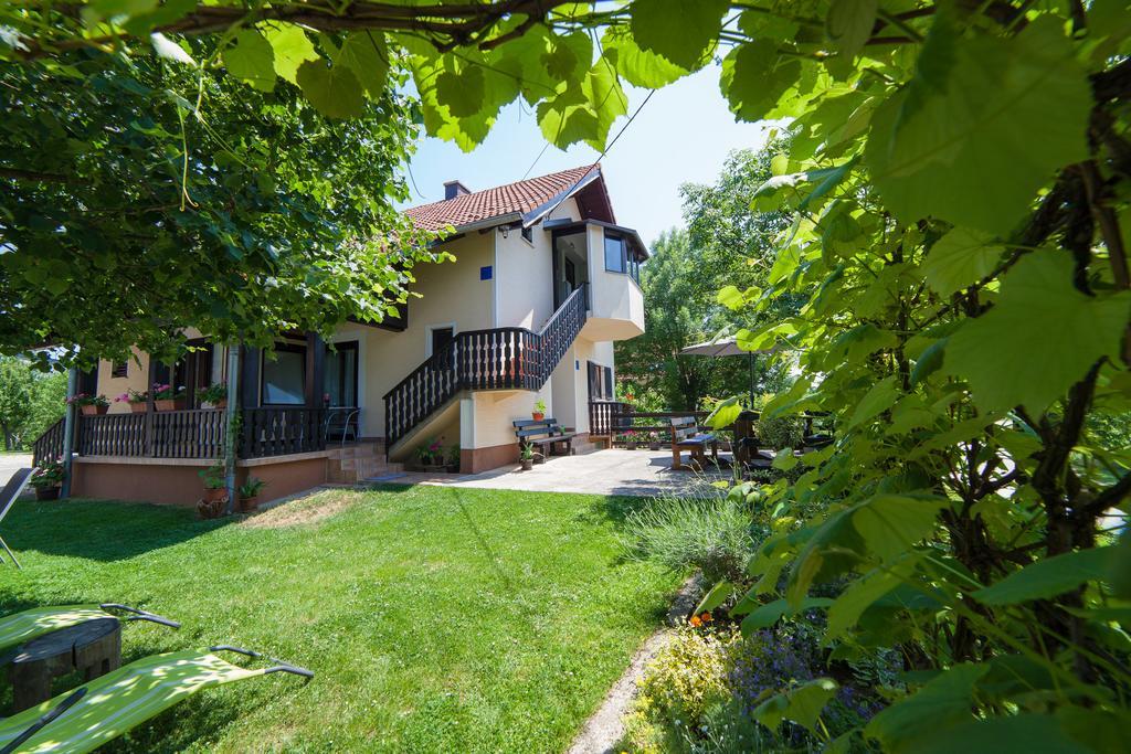 Apartmant & Room Bruna Drežnik Grad Εξωτερικό φωτογραφία