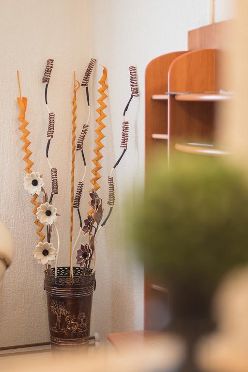 Apartmant & Room Bruna Drežnik Grad Εξωτερικό φωτογραφία