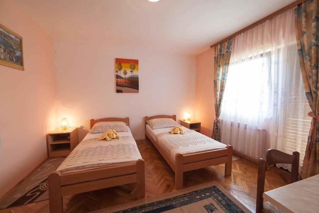 Apartmant & Room Bruna Drežnik Grad Εξωτερικό φωτογραφία