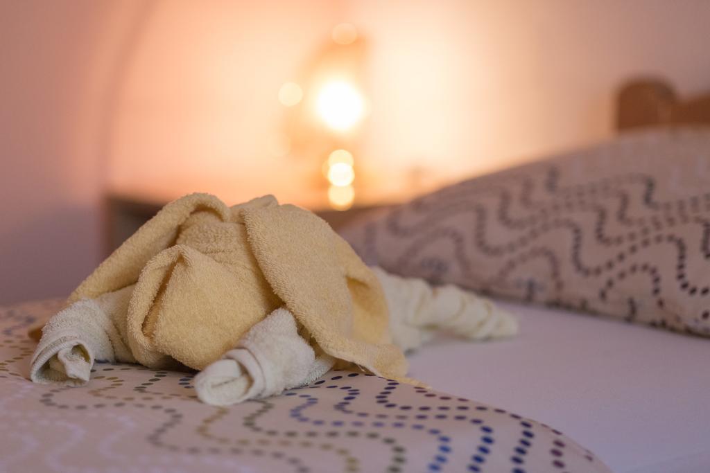 Apartmant & Room Bruna Drežnik Grad Εξωτερικό φωτογραφία